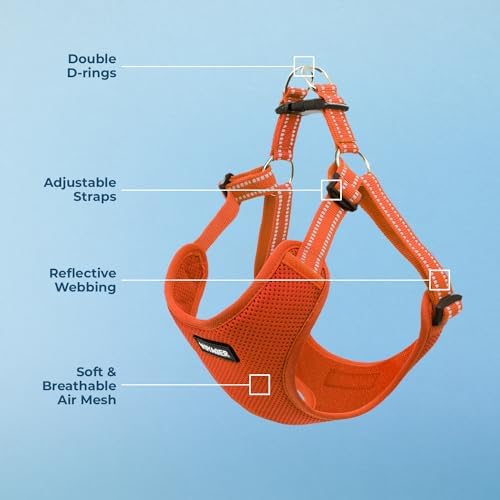 Voyager Step-in Flex Adjustable Dog Harness