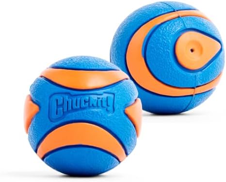 Chuckit! Ultra Squeaker Fetch Balls