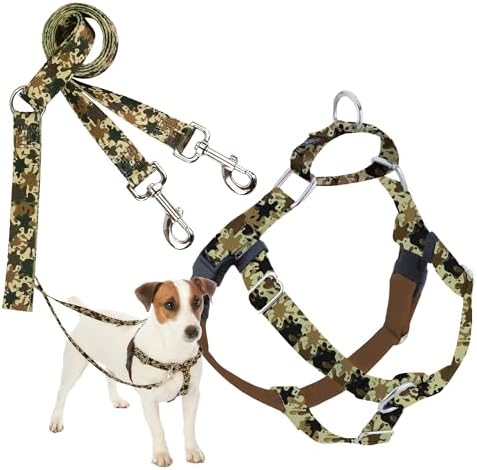 2 Hounds Design