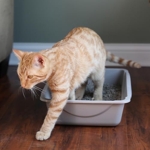 Petmate Basic Open Plastic Cat Litter Pan