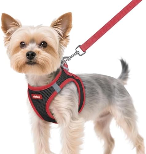 rabbitgoo Dog Harness Small Sized and Leash Set, Step in Soft Vest