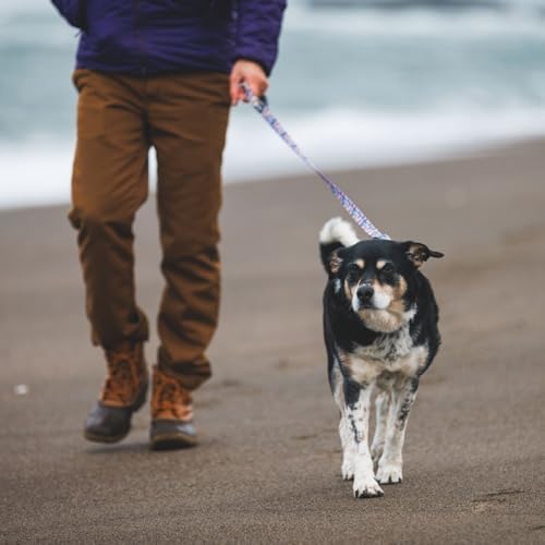 Ruffwear, Front Range Dog Leash, 5 ft Lead, Wildflower