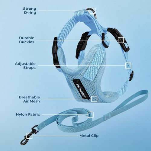 Voyager Step-in Lock Cat Harness & Leash Set