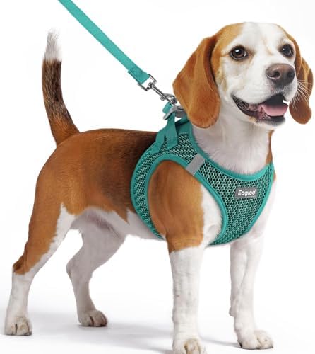Eagloo Small Dog Harness and Leash Set, Step in Medium Small Puppy Pet Vest