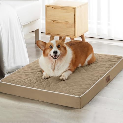 WNPETHOME Orthopedic Waterproof Dog Bed Medium