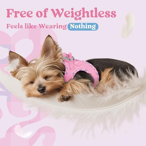 rabbitgoo Step-in Small Dog Harness, Puppy Vest