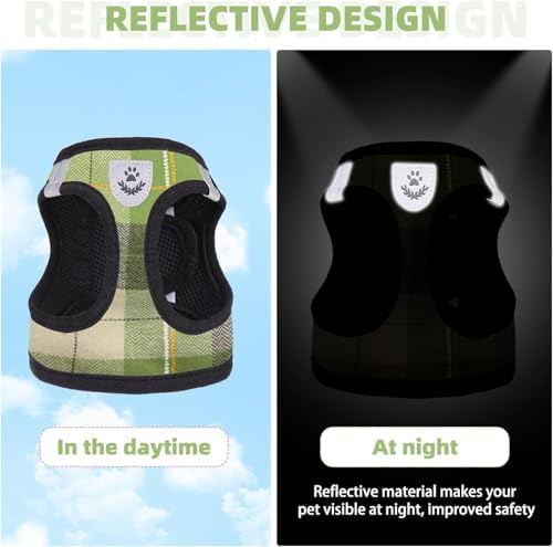 KOOLTAIL Dog Harness and Leash Set