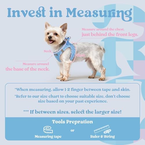 rabbitgoo Step-in Small Dog Harness, Puppy Vest