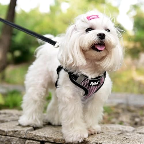 PUPTECK Dog Harness and Leash Set Small Sized, Step in No Pull Adjustable Puppy