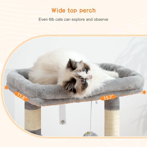 Heybly Cat Tree, Kitten Tower