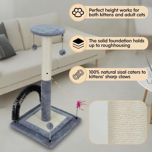 ROYPET Multifunctional Cat Scratching Posts