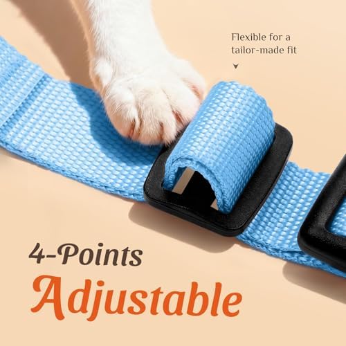 Dooradar Cat Harness and Leash Set, Adjustable and Escape Proof