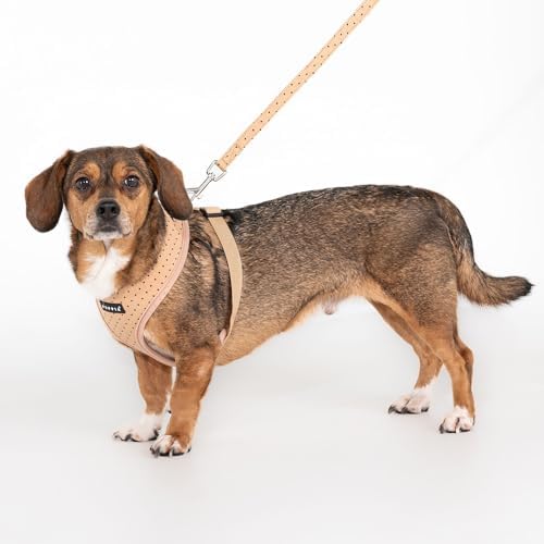 Puppia Dotty Dog Harness A Fashionable Polka Dot Pattern Spring Summer Harness