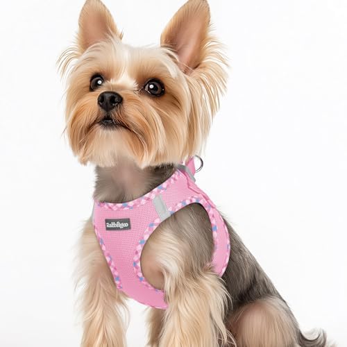 rabbitgoo Step-in Small Dog Harness, Puppy Vest