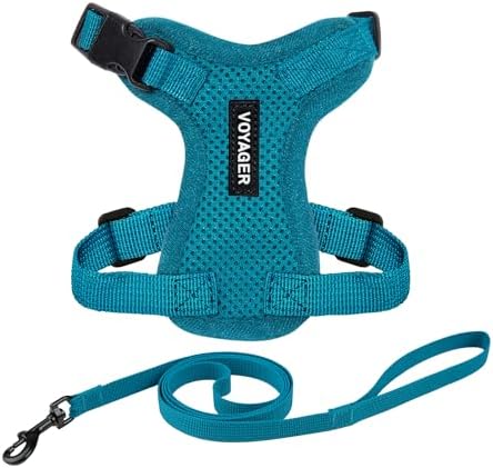 Voyager Step-in Lock Cat Harness & Leash Set