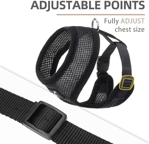 PUPTECK Small Dog Harness and Leash Set No Pull
