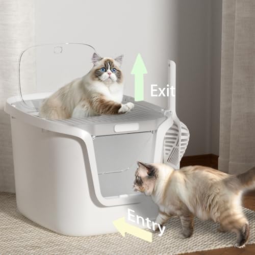 Seamless Molded Cat Litter Box