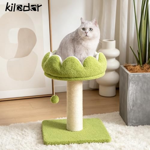 Flower Cat Scratching Post for Indoor Cats Scratcher