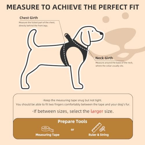PUPTECK Dog Harness, Collar and Leash Set No Pull