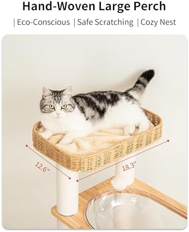 Wood Cat Tree for Large Cats, Modern Cat Tree Tower