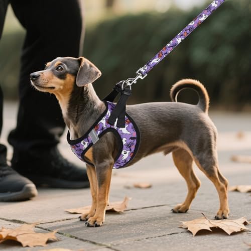 KOOLTAIL Halloween Dog Harness and Leash Set