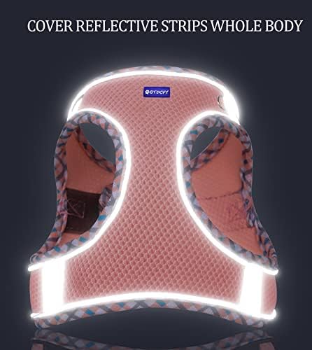 Step in Mesh Dog Harness and Leash Set Breathable Air Mesh Harness