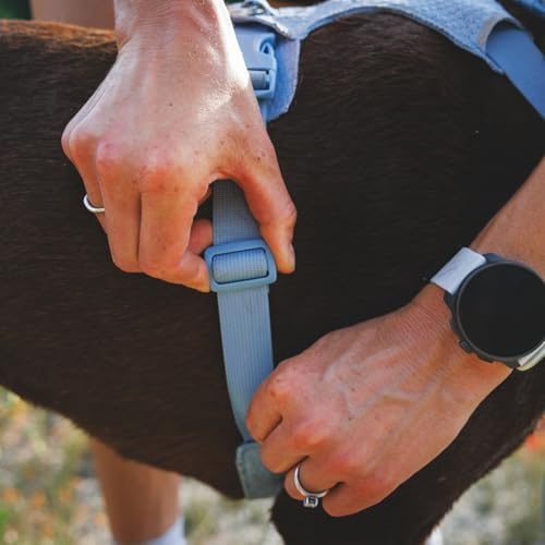 Ruffwear, Front Range Flex Dog Chest Harness, Rose Violet