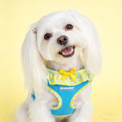 EXPAWLORER Step-in Dog Harness Small Sized and Leash Set