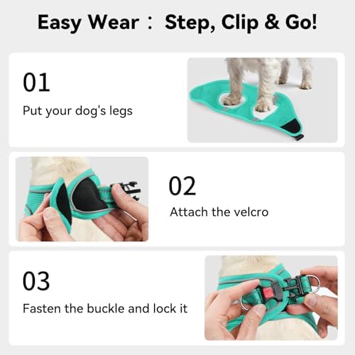 Joytale Step-in Dog Harness, Soft Breathable Mesh, Teal M
