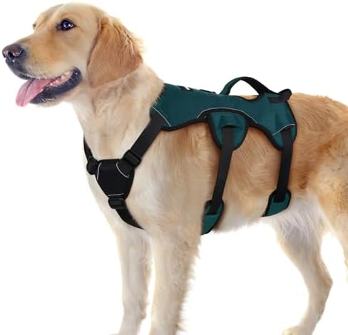 rabbitgoo Escape Proof Dog Harness