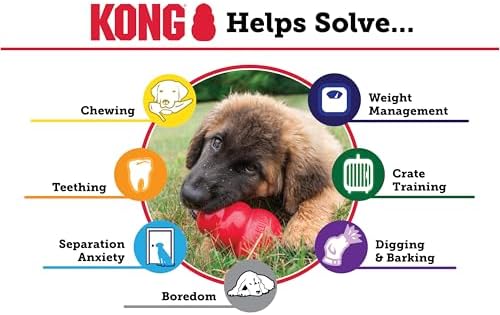 KONG Classic Stuffable Dog Toy, Natural Rubber Chew,