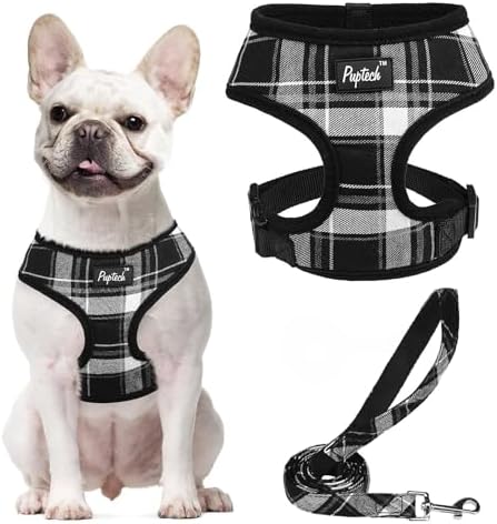 PUPTECK Small Dog Harness and Leash Set No Pull