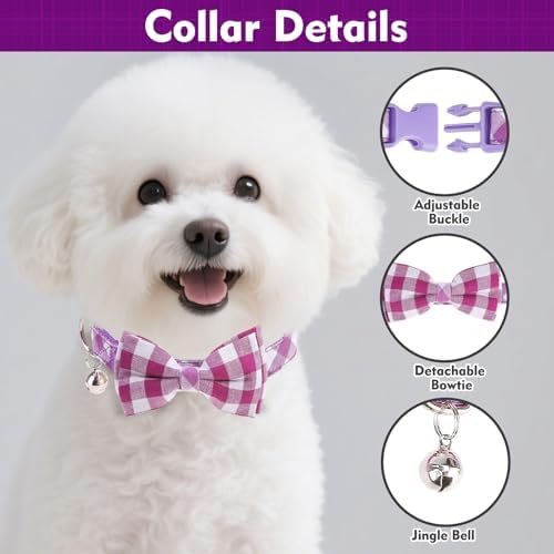 EXPAWLORER Step-in Dog Harness Small Sized Collar and Leash Set