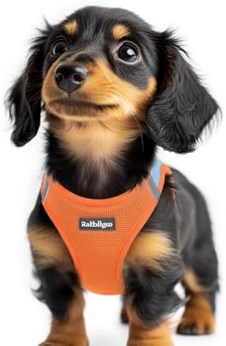 rabbitgoo Step-in Small Dog Harness, Puppy Vest