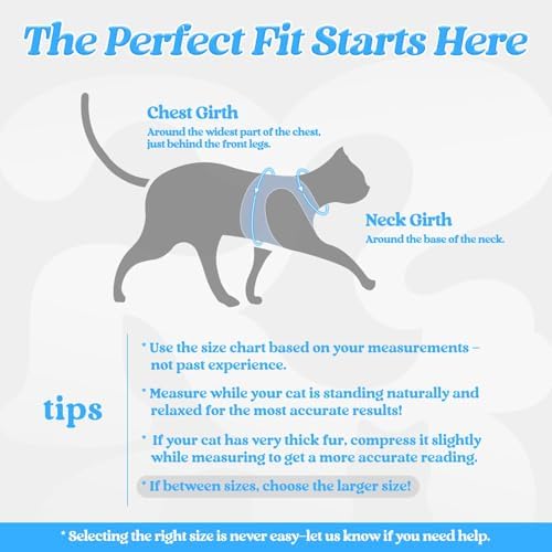 rabbitgoo Cat Harness and Leash Set, Step-in Soft Vest