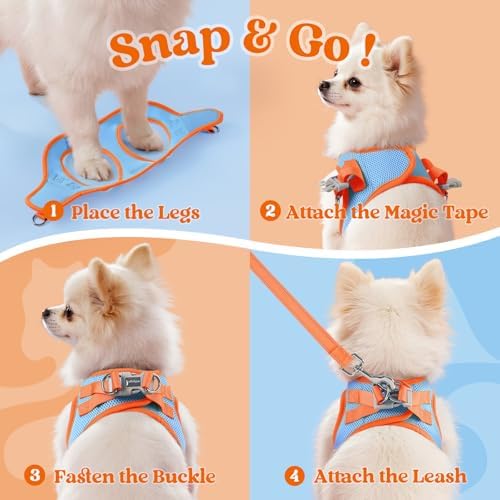 rabbitgoo Dog Harness Small Sized and Leash Set, Step in Soft Vest