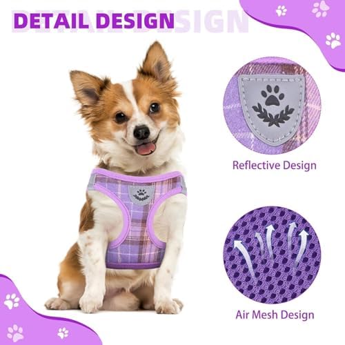 KOOLTAIL Dog Harness and Leash Set