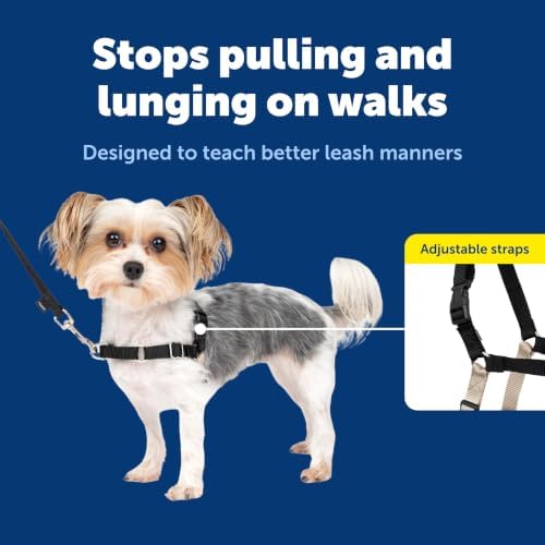PetSafe Easy Walk Harness, No Pull Dog Harness, Petite/Small