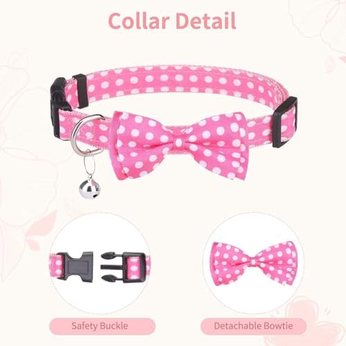 BINGPET No Pull Dog Harness Leash Collar Set, Adjustable Step-in Vest