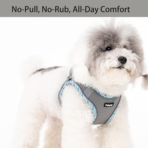 Petank Step in Dog Harness No Pull and Leash