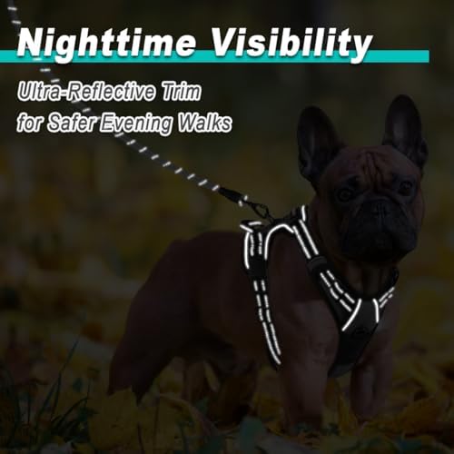 BARKBAY Dog Harness for Small Sized Dog No Pull 2 Leash Clips Dog Vest