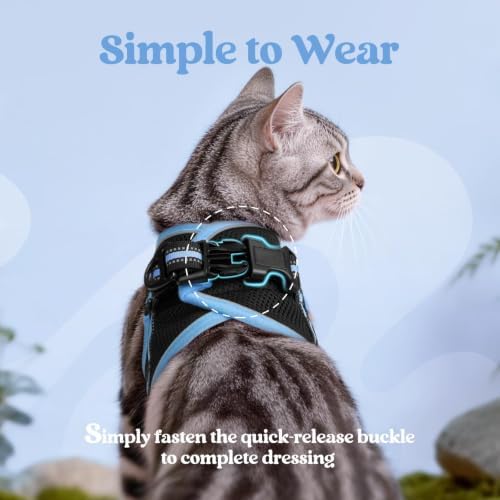 rabbitgoo Cat Harness and Leash Set, Step-in Soft Vest