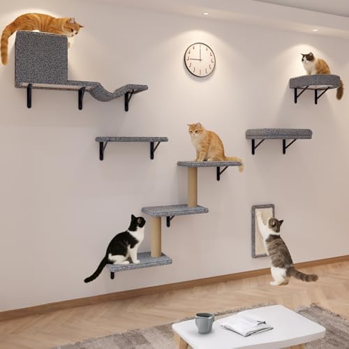 Cat Wall Shelves
