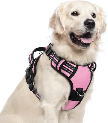 rabbitgoo Dog Harness for Large, No Pull 3 Buckles Easy On & Off