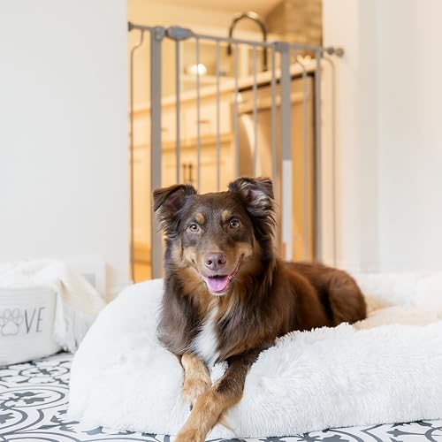 Carlson 36" Extra Tall Walk Through Dog Gate