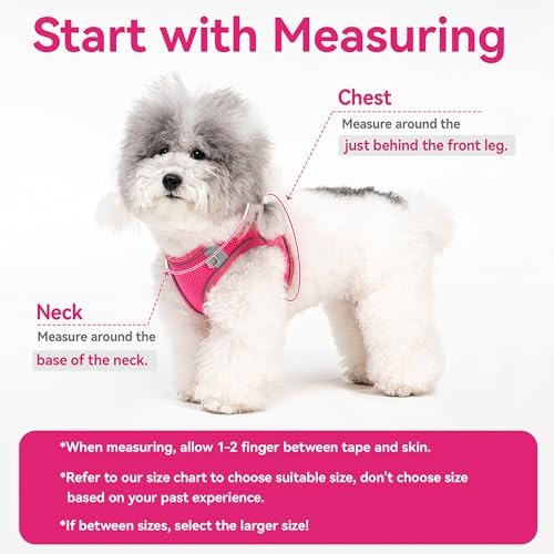 Dog Harness for Small Medium Sized Dog, Puppy Harness and Leash Set Training