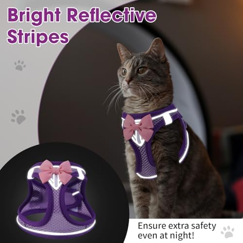 Cat Vest Harness and Leash Set, Escape Proof Kitten Harness Purple S