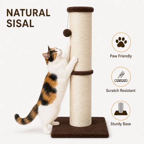 PAWSCRAT 32-Inch Tall Cat Scratching Post, 5.5-Inch Diameter