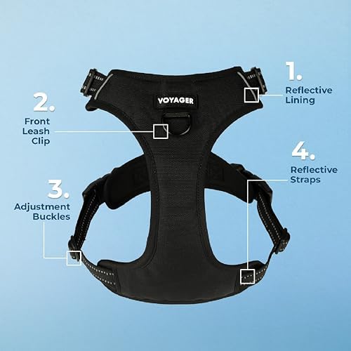 Voyager Dual Attachment No Pull Harness