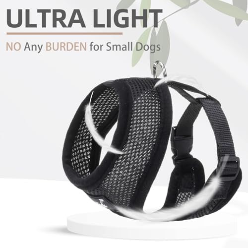 PUPTECK Small Dog Harness and Leash Set No Pull